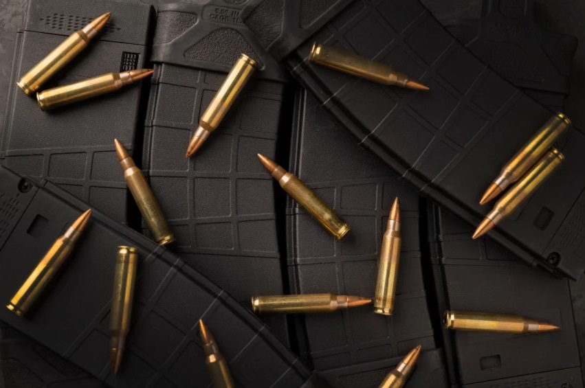 Ammunition Considerations for Your 204 Ruger Upper
